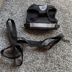 Pet harness/leash